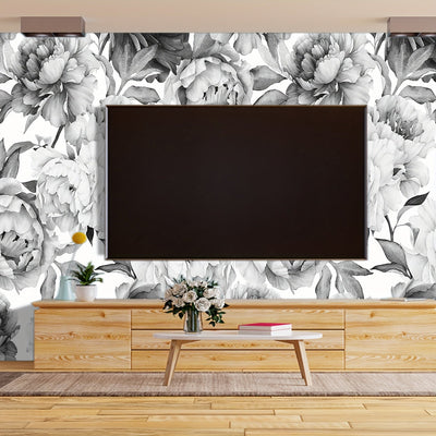 Bộ thu TV (set-top box / đầu kỹ thuật số)