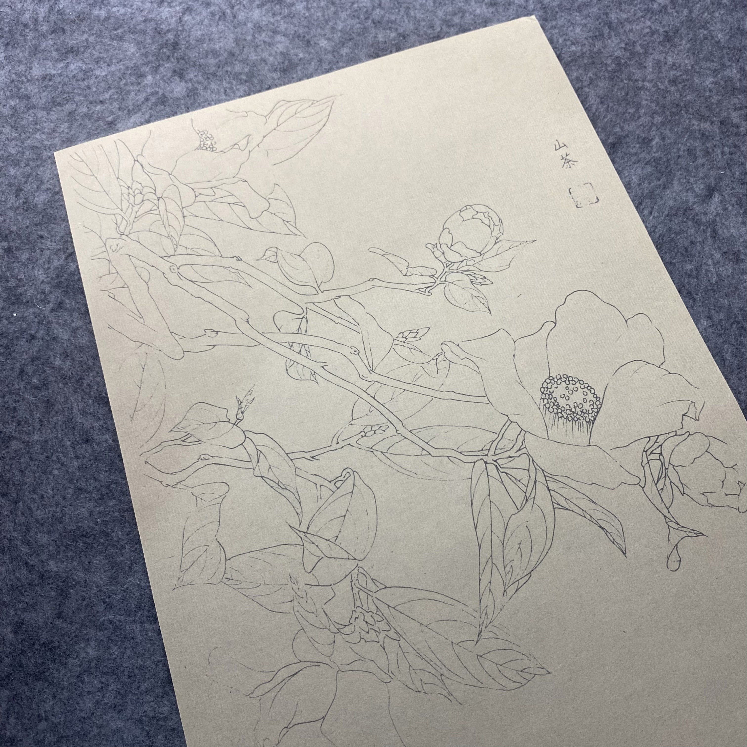 30pcs Traditional Chinese Painting Practice Paper - Authentic Xuan Paper for Floral &amp; Plant Sketching, Perfect for Artists to Master Ancient Chinese Painting Techniques, Painting Art Supplies