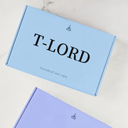 Purple Blue Airplane Style Shipping Box, Custom Logo Printing, Lightweight, Stackable, Low MOQ for E-commerce 