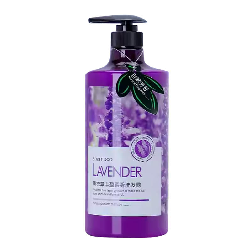 Sỉ Dầu gội đầu thảo dược oải hương hữu cơ trị gàu, Sản phẩm chăm sóc tóc hương nước hoa, Dầu gội dưỡng ẩm trị gàu