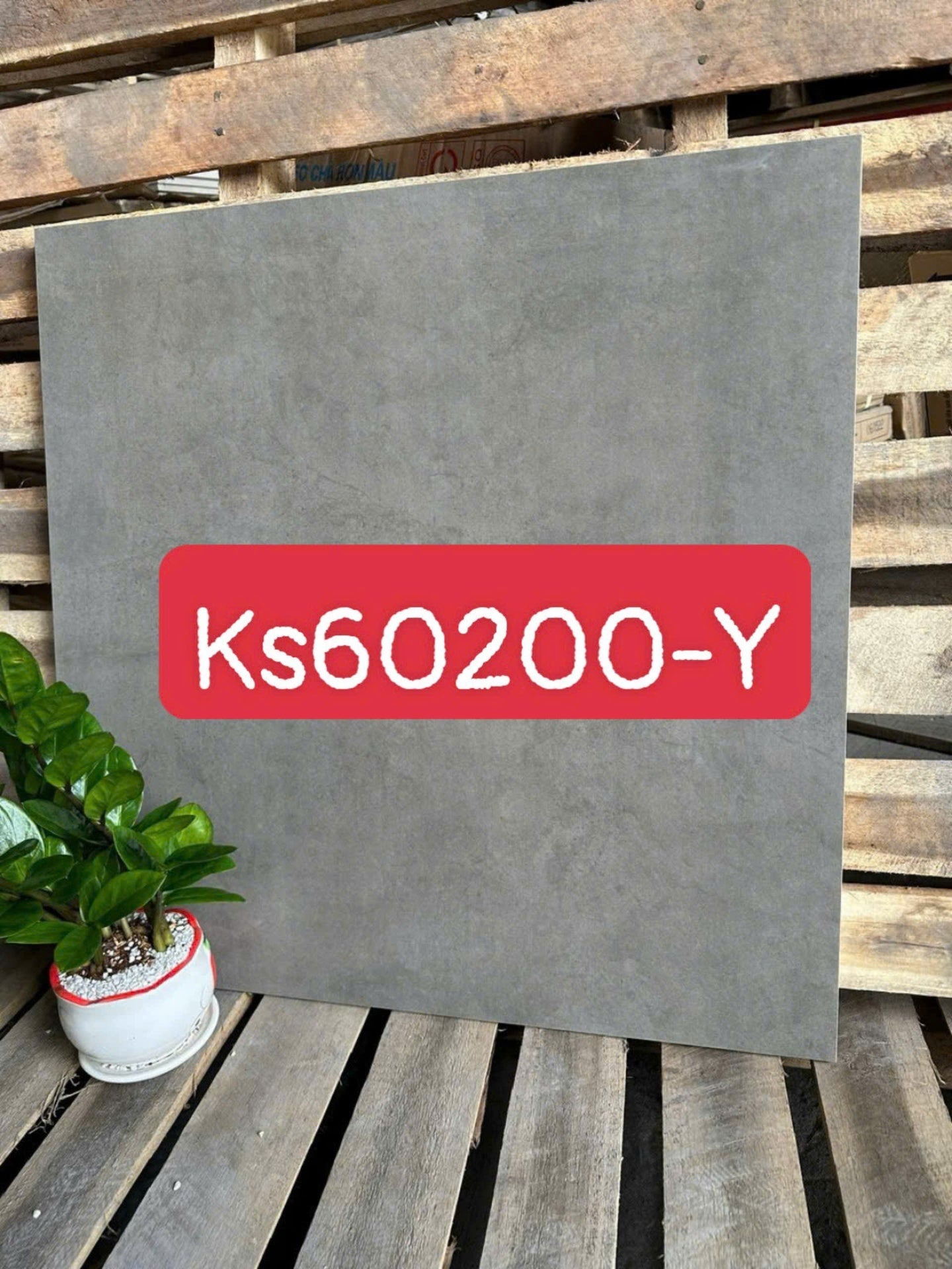 60x60 gray cement tile code Cs6605