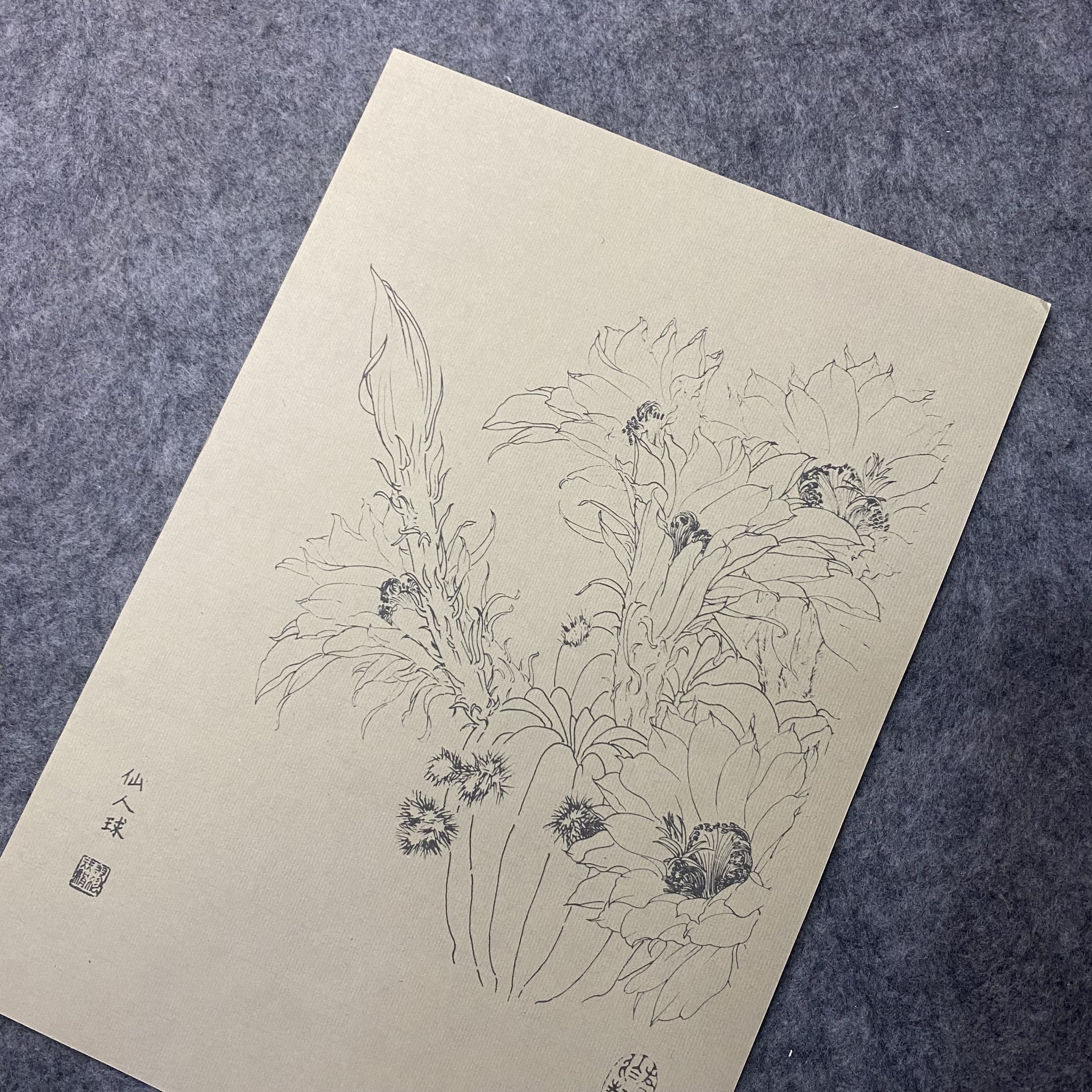 30pcs Traditional Chinese Painting Practice Paper - Authentic Xuan Paper for Floral &amp; Plant Sketching, Perfect for Artists to Master Ancient Chinese Painting Techniques, Painting Art Supplies