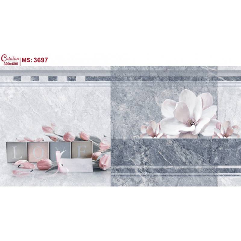 Catalan 3697 30x60 wall tiles