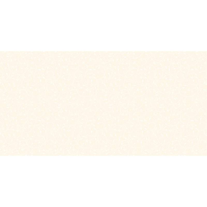 Prime matte glazed wall tiles 400*800mm 03.400800.08261