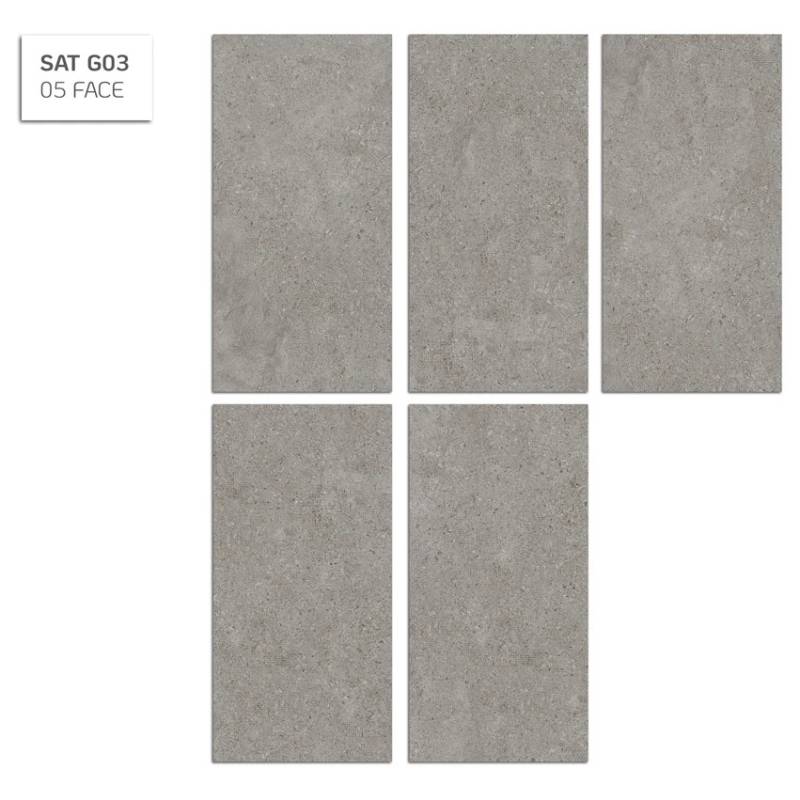 Eurotile Tiles Collection Sa Thach 300*600mm SAT G03