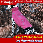 Chó đốm mặc áo khoác hồng giữa rừng lá khô, dòng chữ "3-in-1 Winter Jacket."