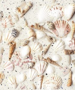 Dong Tam 20×20 brown swimming pool tiles with shell shape 2020MARINA003