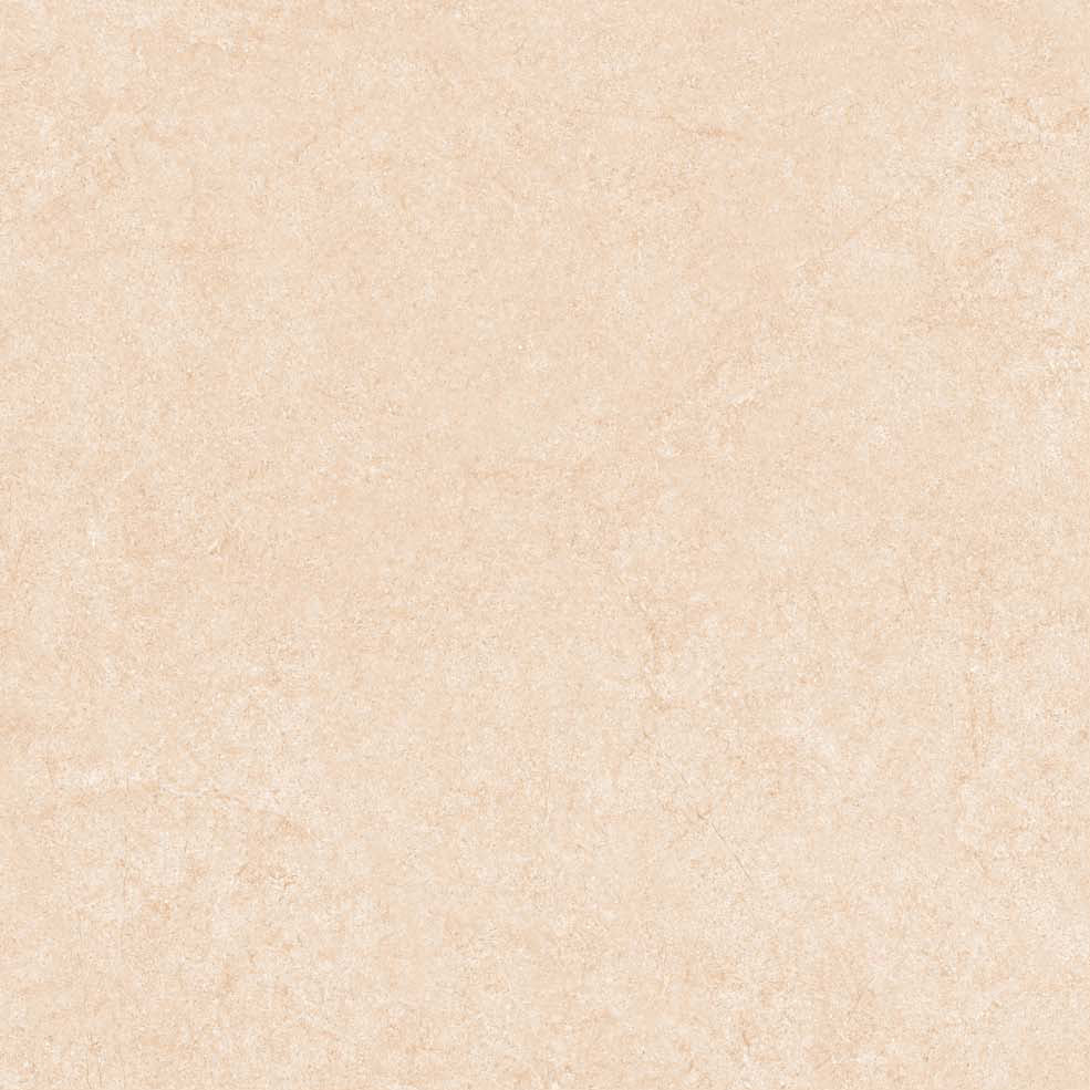 PRIME GRANITE TILE 80×80 CODE 25005 MATT