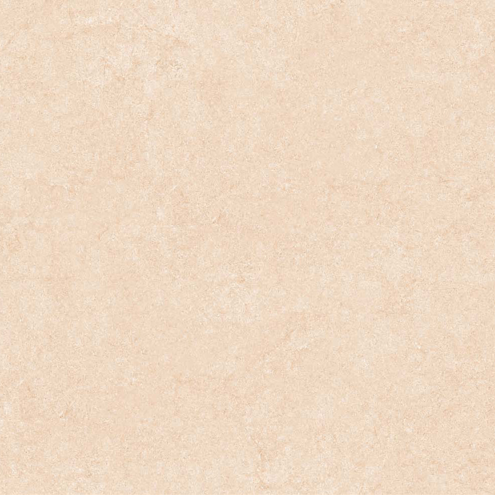 PRIME GRANITE TILE 80×80 CODE 25005 MATT