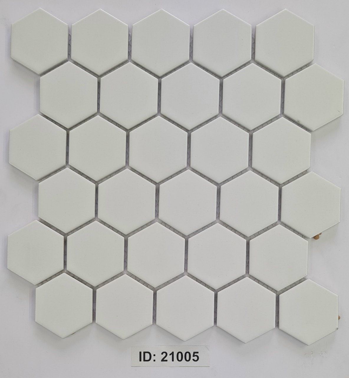 ID - 21005 (Blurred)