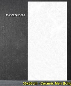 Dong Tam 30x60cm Ceramic Tiles 3060CLOUD001