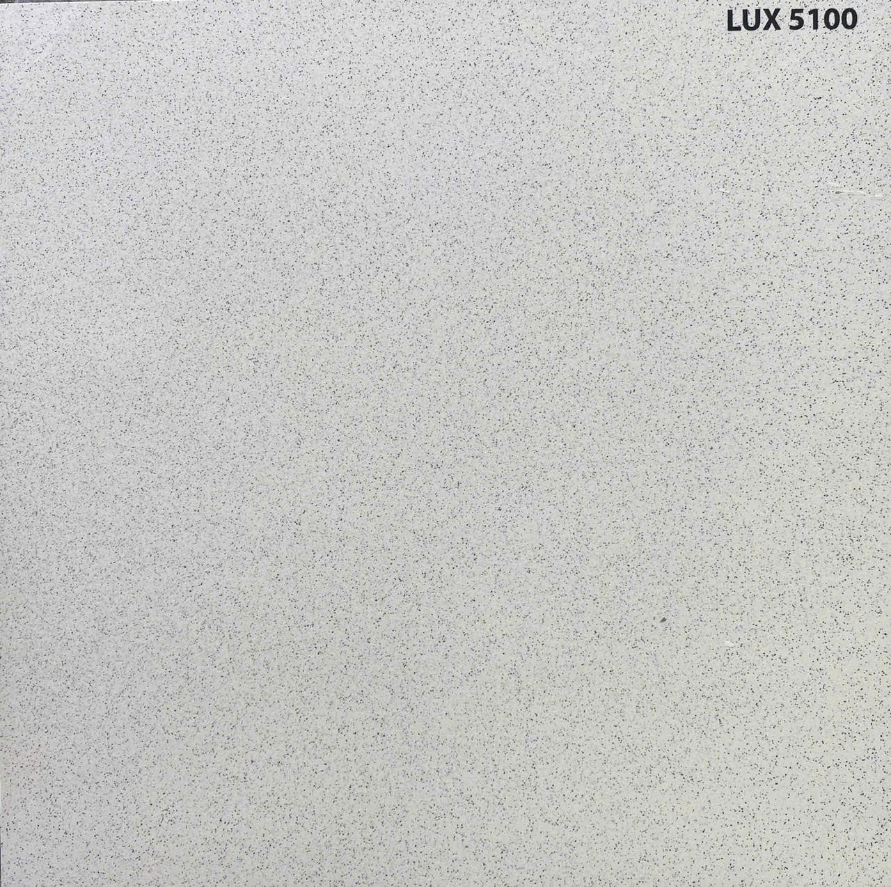 LUX 5100 salt and pepper cream paving tiles, size 50x50cm