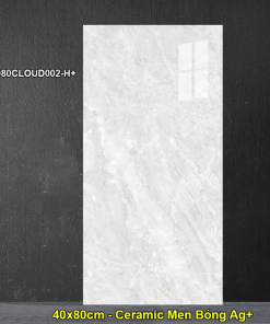 Dong Tam 40x80cm Ceramic Tiles 4080CLOUD002-H+