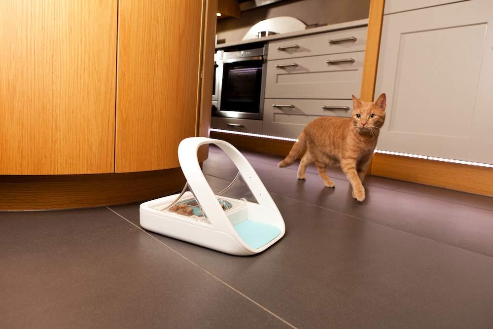 Microchip Pet Feeder - Selective-Automatic Pet Feeder Makes Meal Times Stress-Free, Suitable for Both Wet and Dry Food - MPF001 - Daisan Mart