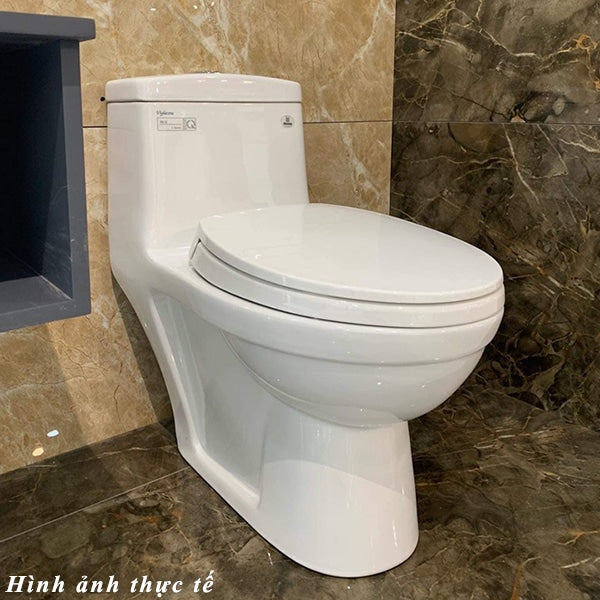 Viglacera BL5 one-piece toilet + Viglacera VG826 sprayer