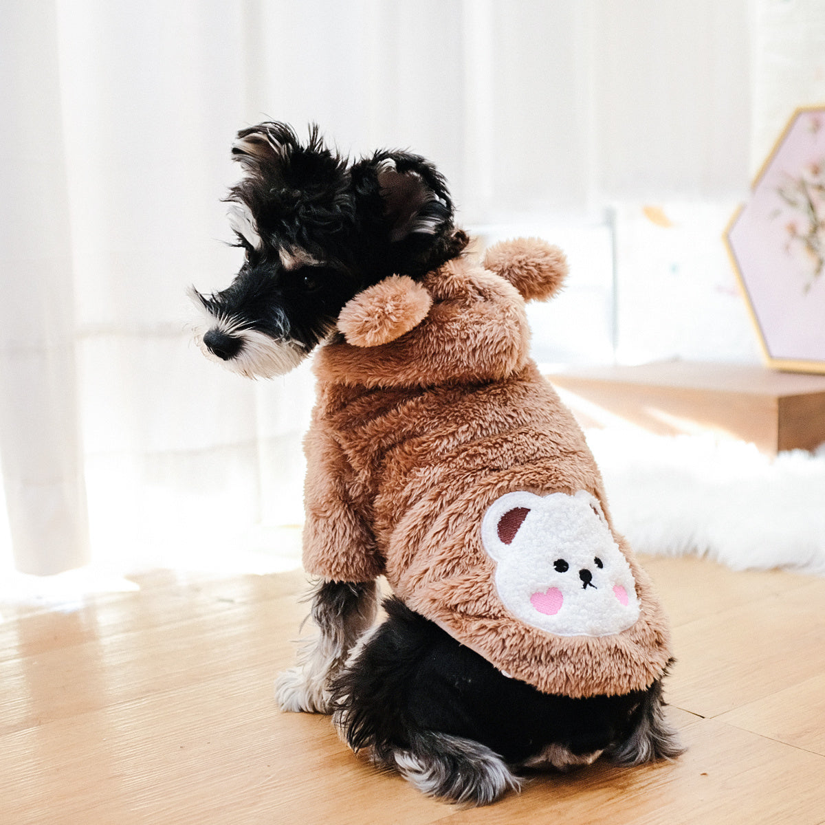 Pet Warm Teddy Bear Costume, Dog & Cat Pet Costumes - Daisan Mart