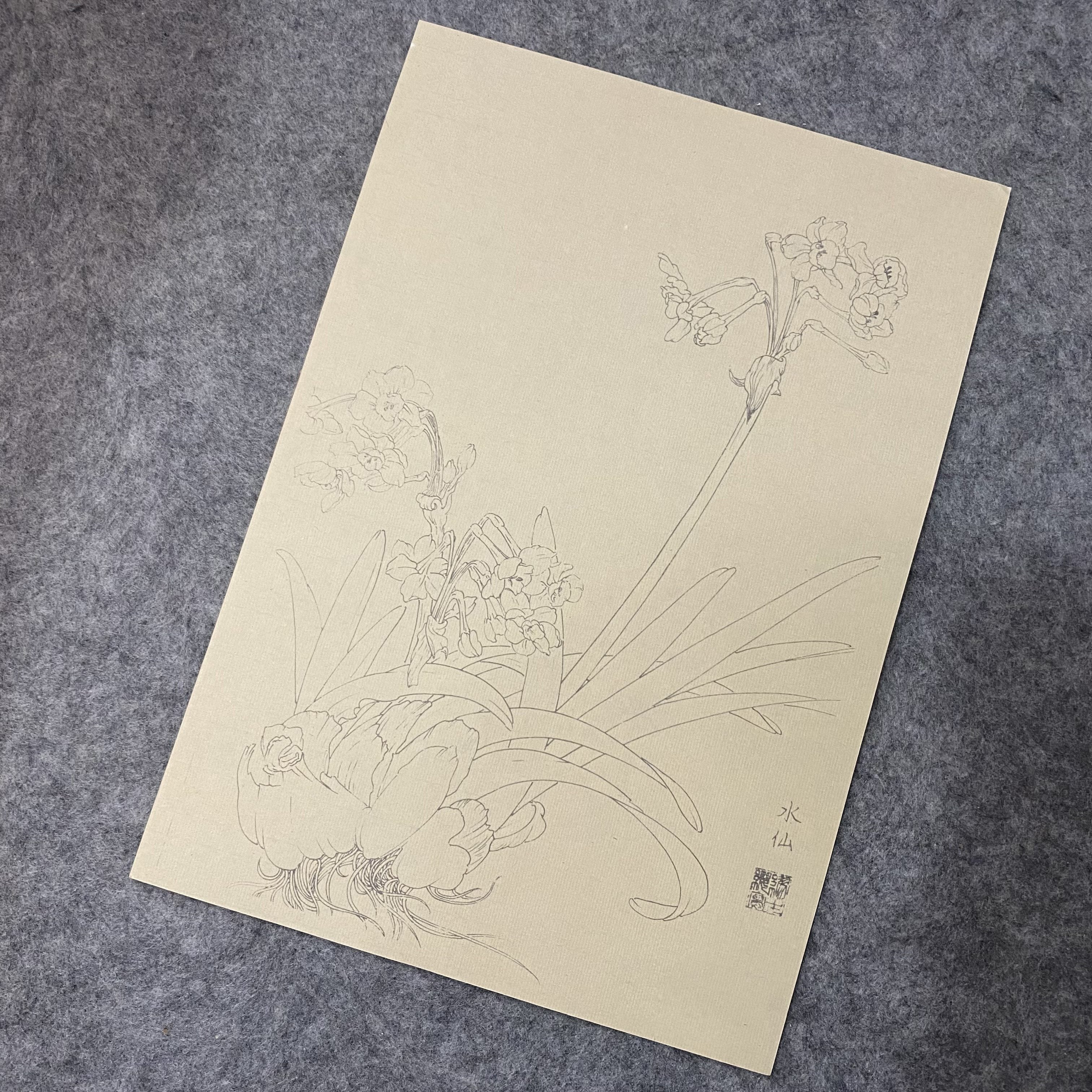 30pcs Traditional Chinese Painting Practice Paper - Authentic Xuan Paper for Floral &amp; Plant Sketching, Perfect for Artists to Master Ancient Chinese Painting Techniques, Painting Art Supplies