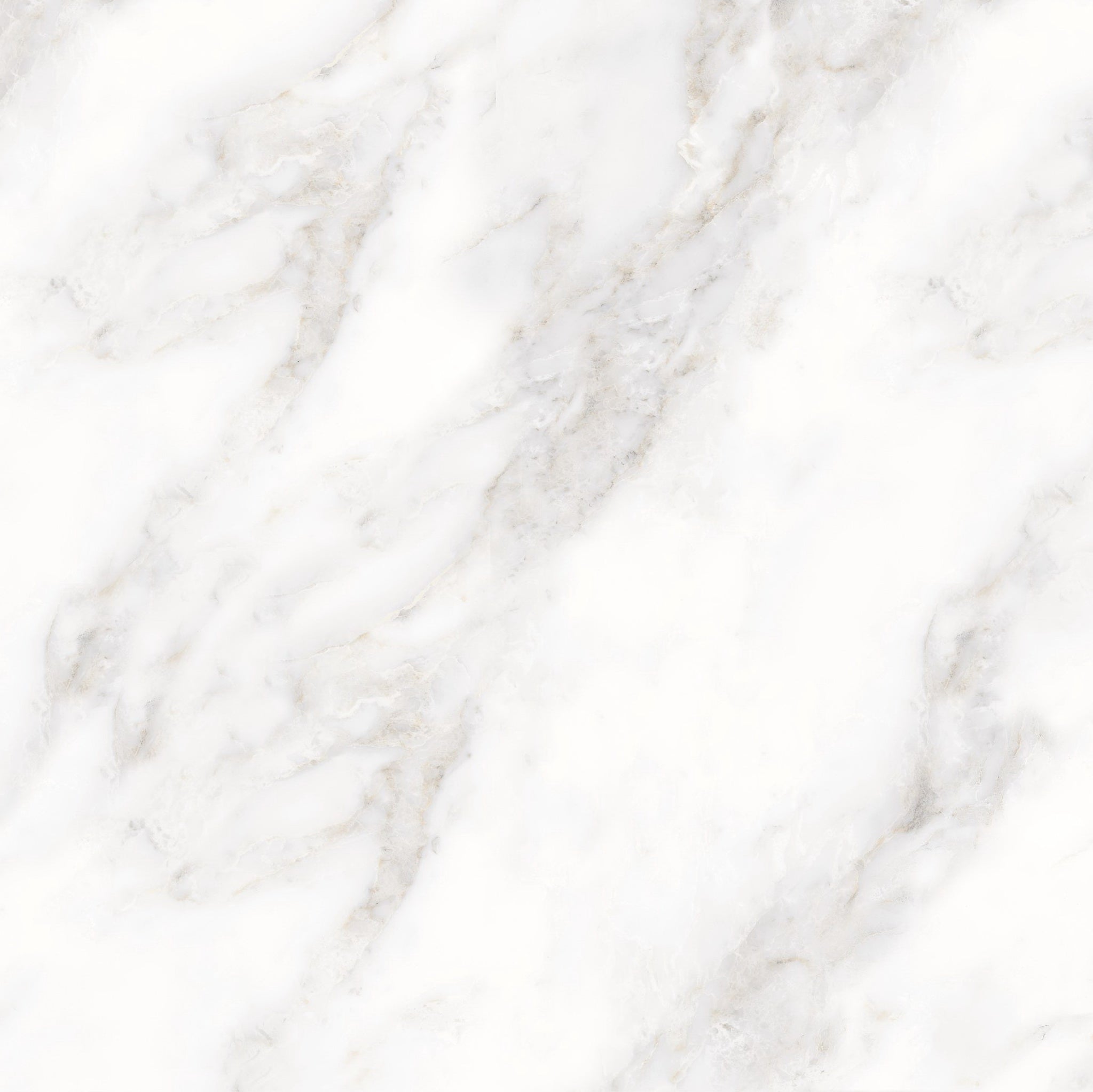 PRIME PORCELAIN TILE 80×80 CODE 8174 GLOSSY