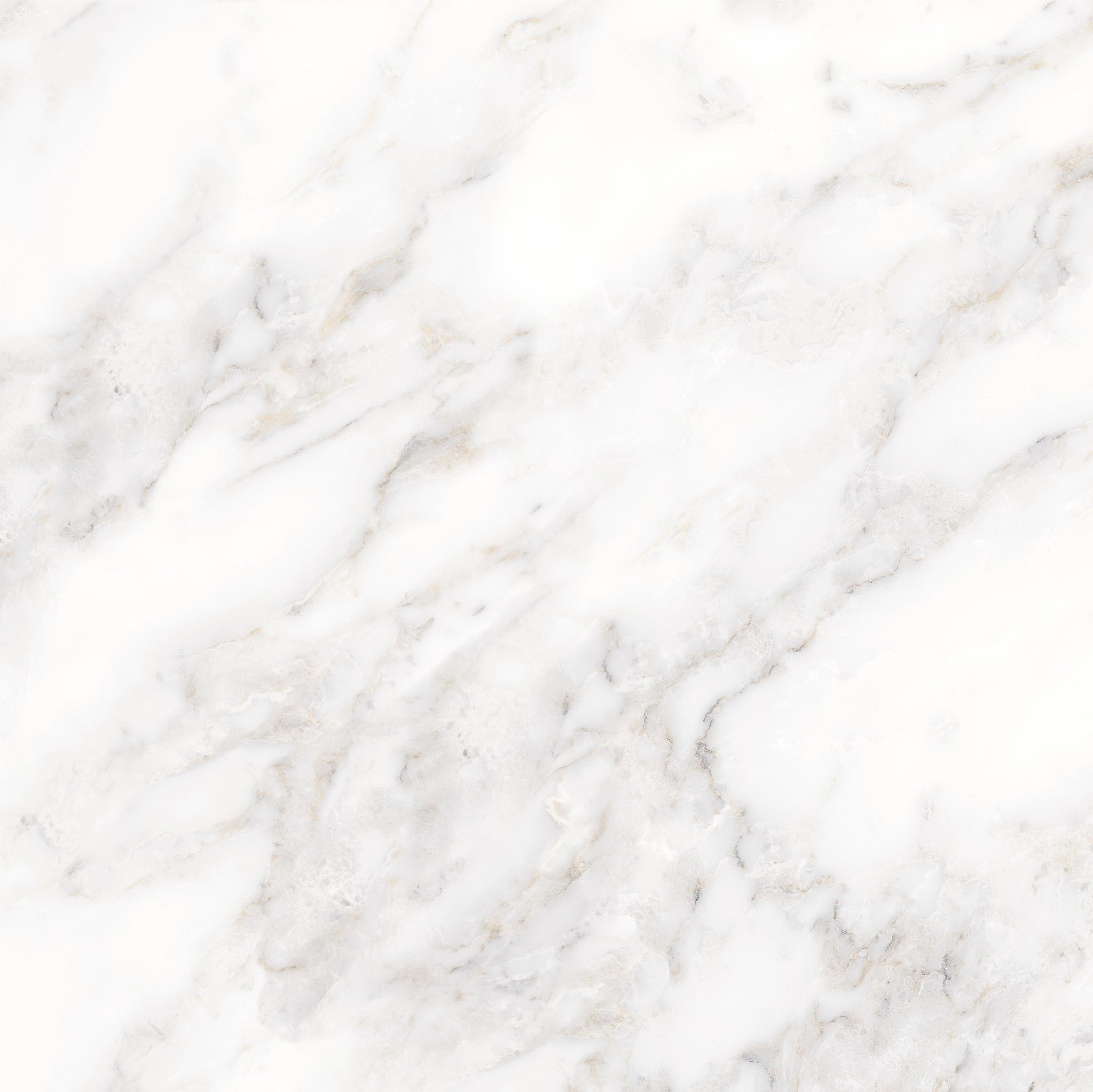 PRIME PORCELAIN TILE 80×80 CODE 8174 GLOSSY