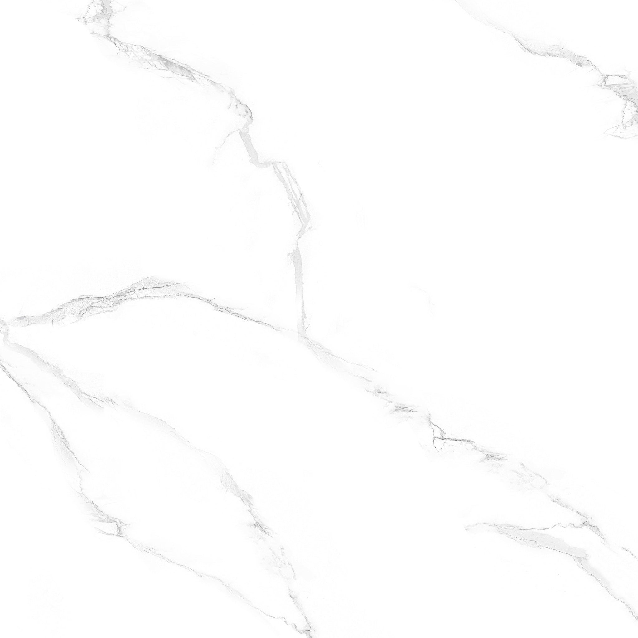 PRIME PORCELAIN TILE 80×80 CODE 8176 GLOSSY