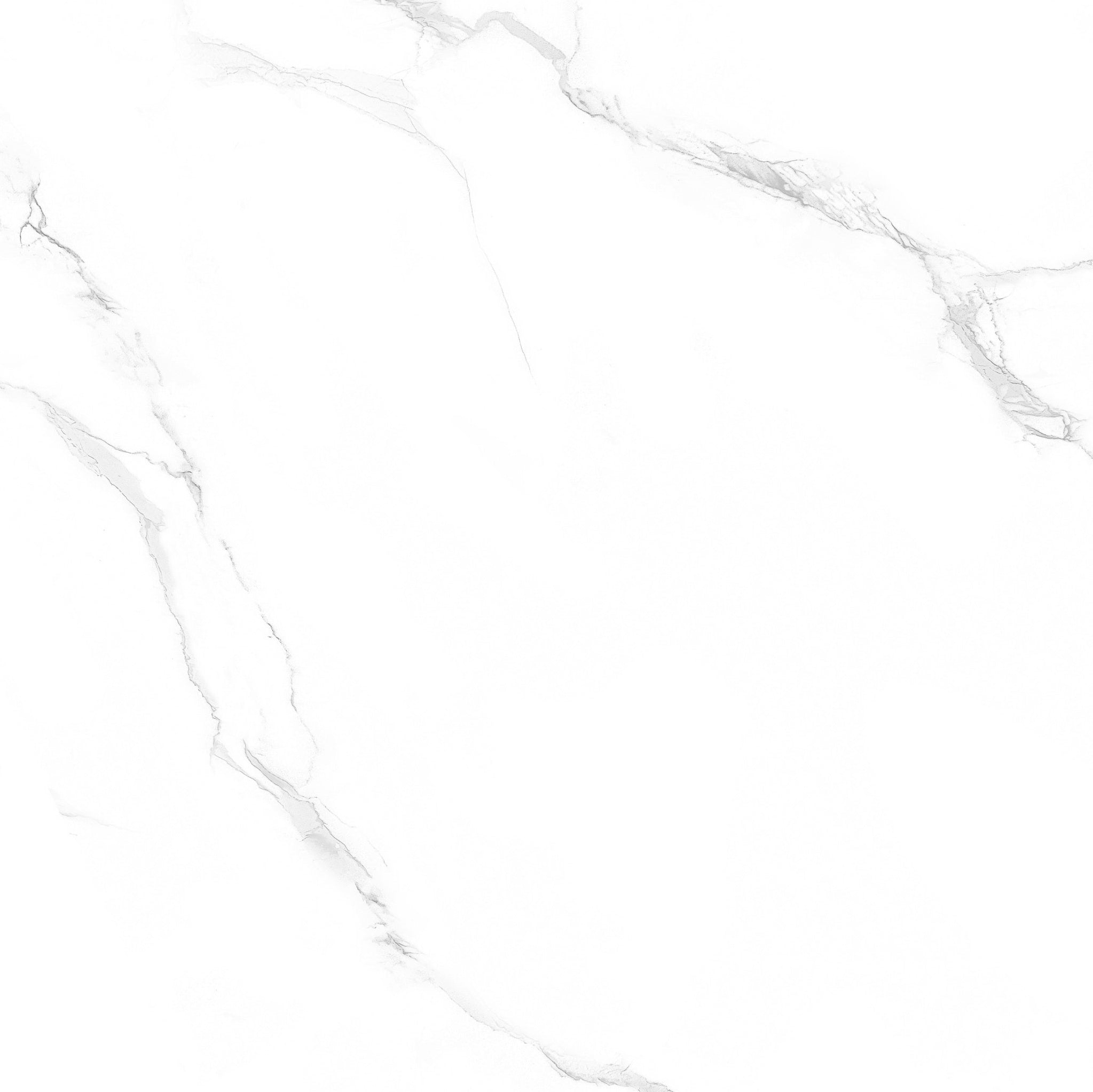 PRIME PORCELAIN TILE 80×80 CODE 8176 GLOSSY