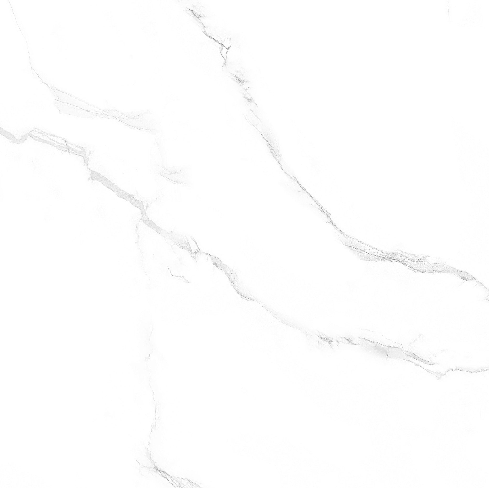 PRIME PORCELAIN TILE 80×80 CODE 8176 GLOSSY