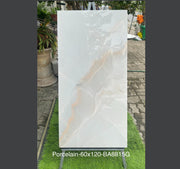 Indian Glazed Tiles 600x1200 8815G