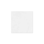 Matte white floor tiles 300x300mm N3300Y