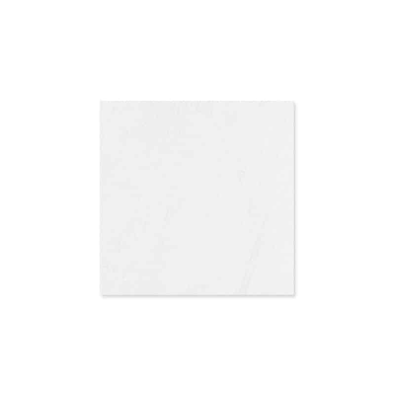 Matte white floor tiles 300x300mm N3300Y