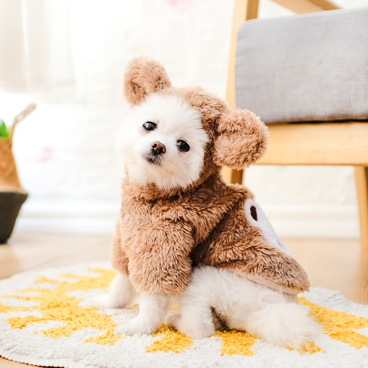 Pet Warm Teddy Bear Costume, Dog & Cat Pet Costumes - Daisan Mart