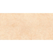 Prime matte glazed wall tiles 300*600mm 05.300600.08638