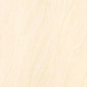 Taicera W24012 wall tiles