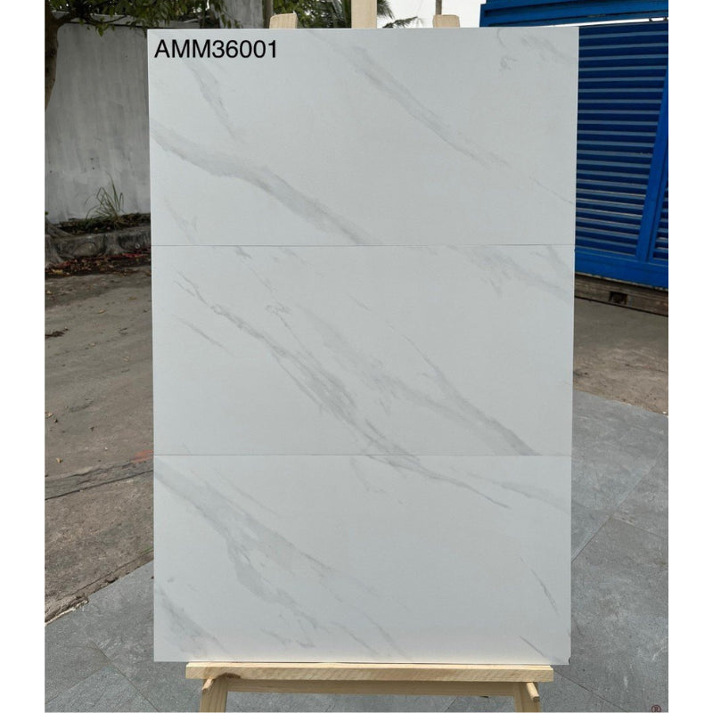 Wall tiles 300x600mm AMM36001