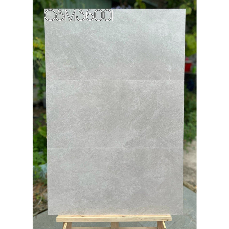 Wall tiles 300x600mm CSM36001