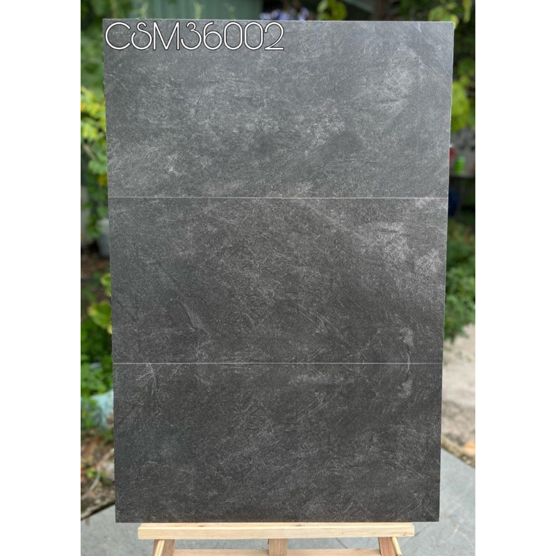 Wall tiles 300x600mm CSM36002
