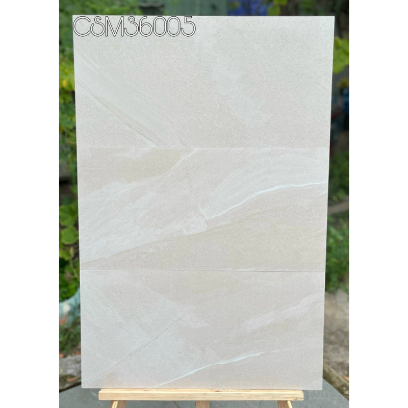 Wall tiles 300x600mm CSM36005