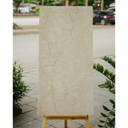 Indian Tiles 600x1200mm HP8823MS