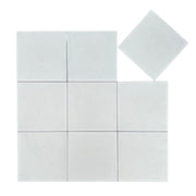 200x200mm Matt Glaze Cement Tile NT2200