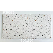 Terrazzo Tiles 300x600mm P38526