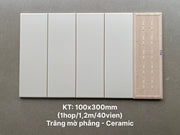 Flat white matte tile size 100x300mm STA1306