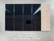 Flat glossy black tile size 100x300mm STA1307