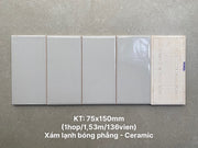 Flat glossy cold gray tile size 75x150mm STA75152