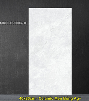 Dong Tam 4080CLOUD003-H+ 40x80cm Ceramic Tiles