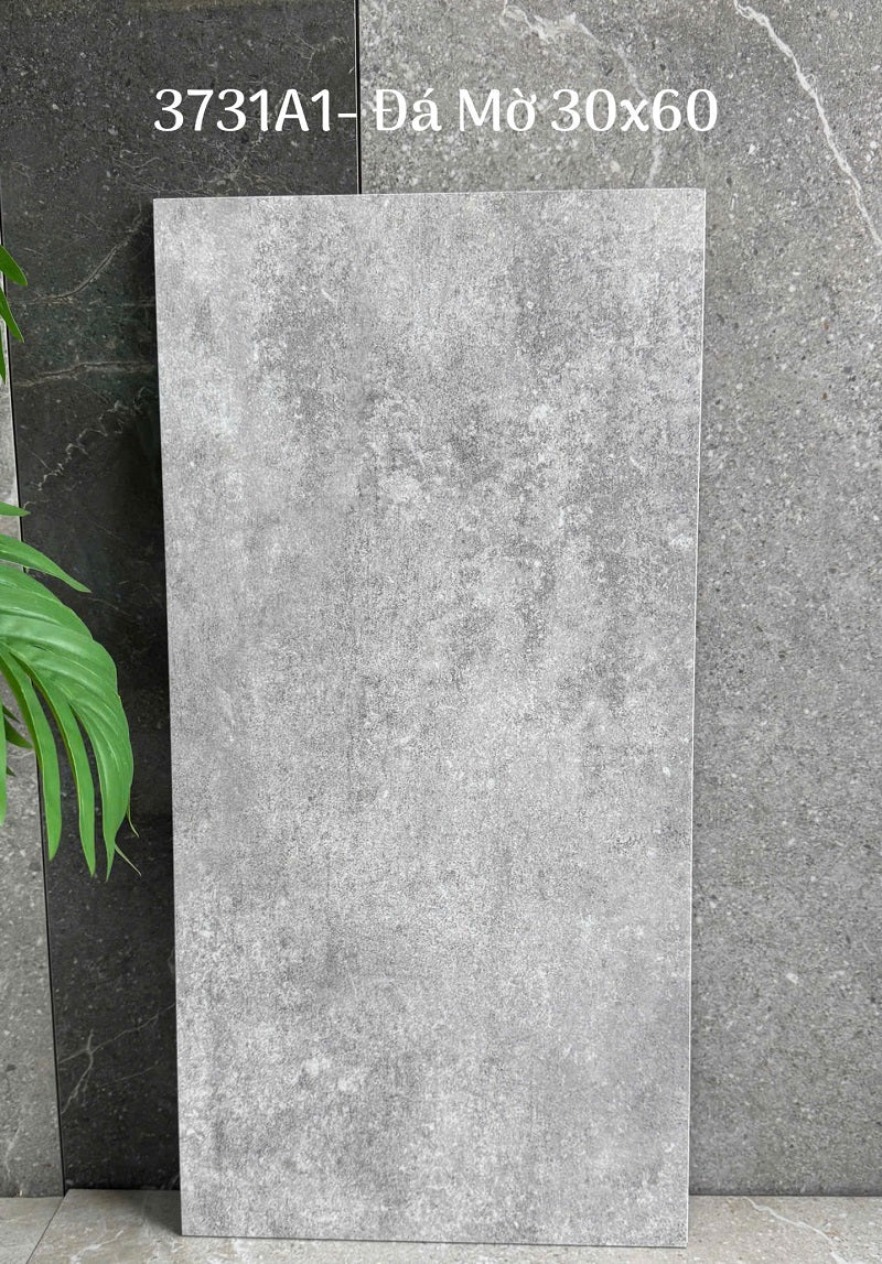 Chinese Ceramic Tiles 30x60cm Cement Pattern Color 3731A1