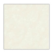 60×60 Bach Ma HG floor tiles HMP60910