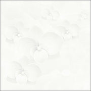 Eleven 60×60 cloud patterned tiles E6020