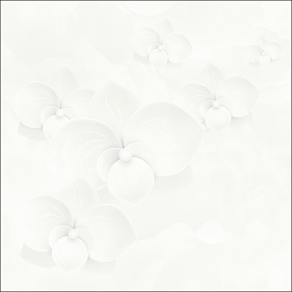 Eleven 60×60 cloud patterned tiles E6020