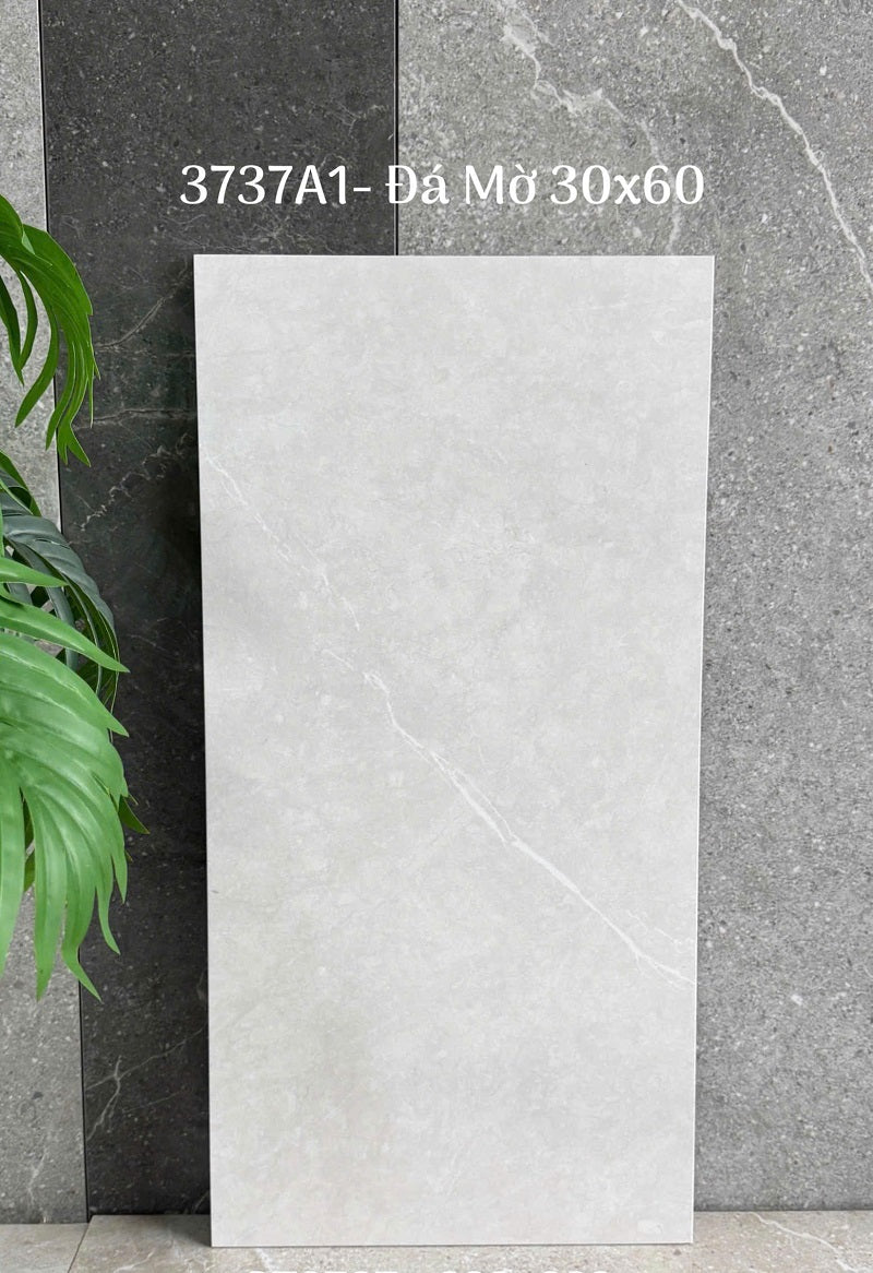 Chinese Ceramic Tiles 30x60cm Cement Pattern Color 3737A1