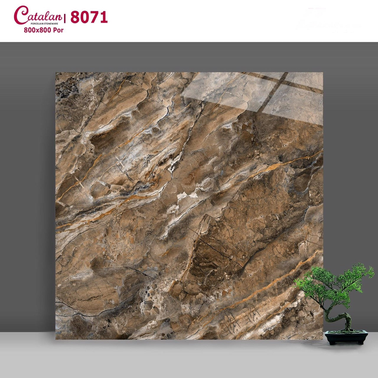 Catalan marble patterned tiles 8071