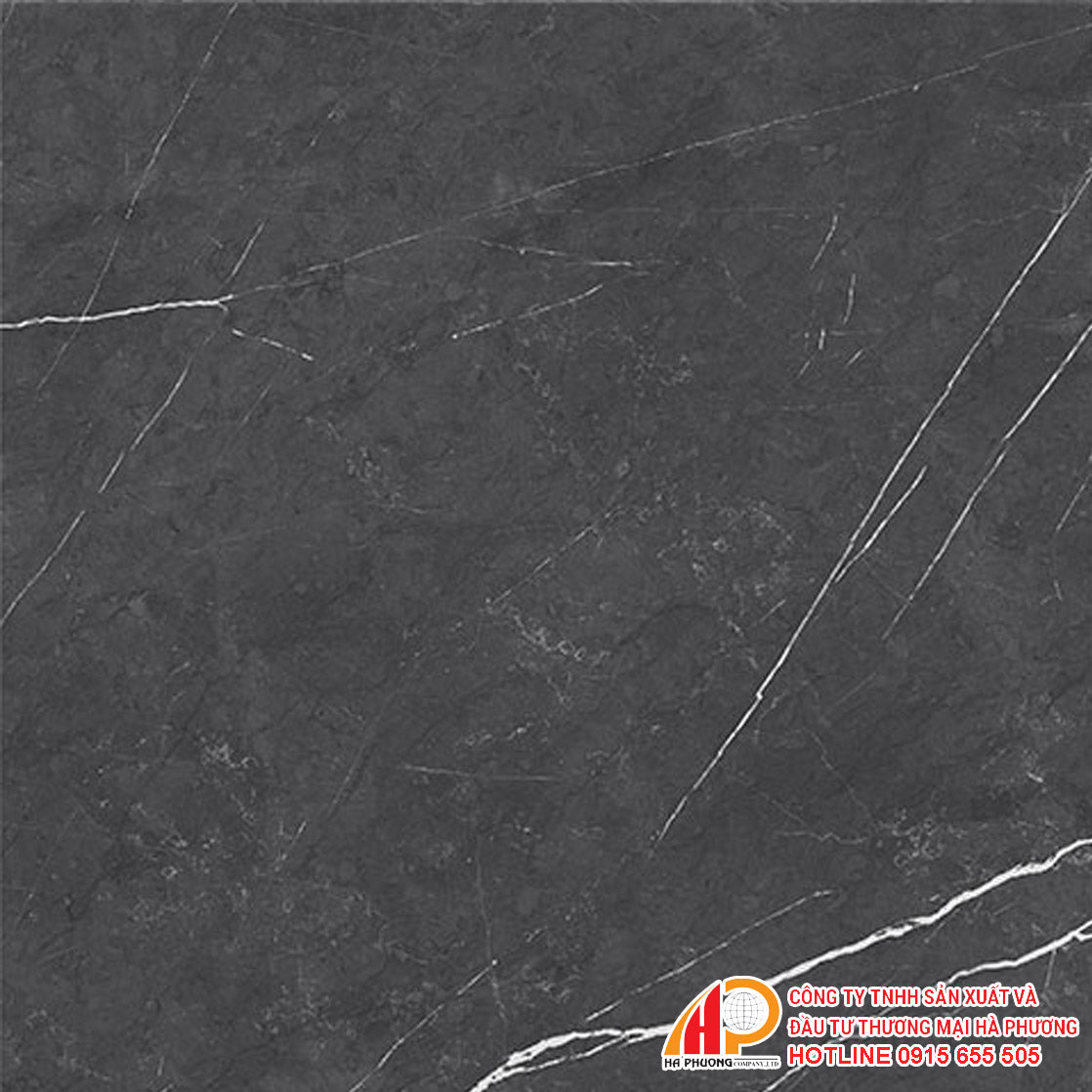 Thach Ban PGM60-0233 dry glazed tiles